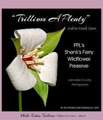 The preserve is located on green hill road in lancaster county. Shenk S Ferry Wildflower Preserve Birds And Blooms