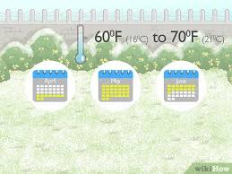 The great part about growing zucchini in containers is that you can place your pots anywhere in your yard, to get the best sunlight. Simple Ways To Grow Zucchini In Pots 14 Steps With Pictures