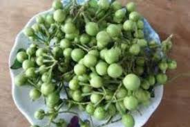 Maybe you would like to learn more about one of these? Meski Kecil Tapi Ini 7 Manfaat Sehat Terong Pokak Rimbang