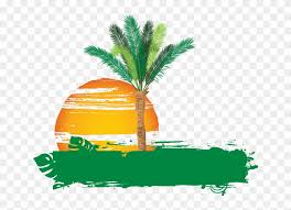 Palm Tree Logo 101 Clip Art Palm Tree Logo Transparent Hd Png Download 677x589 447744 Pngfind View our portfolio of palm tree logos. palm tree logo 101 clip art palm tree