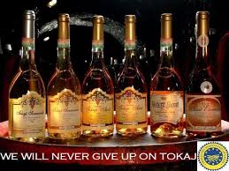 Tokaj Wines Hungarian Wines Wine Tourism Champagne Drinks