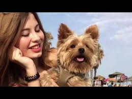 Berlin Germany S Miriam Rautert To Compete In Miss Universe 2019 Conan Daily