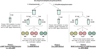 We did not find results for: Frontiers Multi Laboratory Validation Of A Loop Mediated Isothermal Amplification Method For Screening Salmonella In Animal Food Microbiology