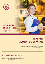 Salarizare buna, contract de munca. Ospatar Ajutor De Ospatar Phoenicia Hotels Aplica Pe Ejobs