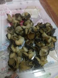 Explore tweets of 小舞酱 @wuuuuuucy on twitter. å•é¡Œ è«‹å•é€™æ˜¯ä»€éº¼èžºè‚‰ çœ‹æ¿cookclub Pttç¾Žé£Ÿæ—…éŠå€