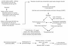 Cirrhosis is the end stage of any chronic liver disease Sirosis Hati Diagnosis Dan Tatalaksana Kedokteran Caiherang