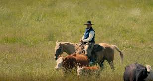 MT Anderson, Mat Carter, Herschel Lantis, Darwin Hodges: Where Are the  Ranchers Today?