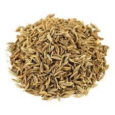 Are you wondering how to say kaos seragam in american english ? Cumin Seeds Jeera Latest Price Manufacturers Suppliers