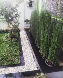 Kolam Ikan Kotor Pakai 5 Tanaman Air Ini Untuk Membersihkannya