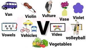 Vector cute kids animal alphabet. V Letter Words In English Words Starting With Letter V V Letter Words With Pictures Letter N Words English Words V Words