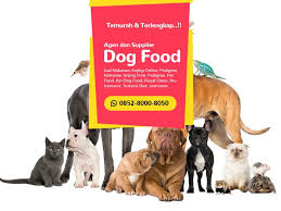Supplier Petshop Di 2020 Makanan Anjing Anjing Anjing Doberman