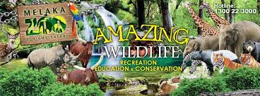 Visit zoo melaka & night safari to learn about the fascinating ecosystem opt for the daytime or nighttime ticket to observe animals' different behaviors book now with kkday and explore the wonders of mother nature at zoo melaka & night safari. Melaka Zoo Night Safari Home Facebook
