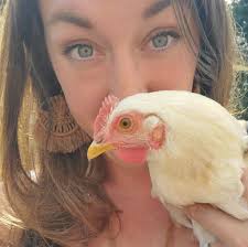 Do chickens need dividers in the nesting area?