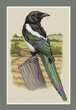 We did not find results for: Magpie Cross Stitch Birds