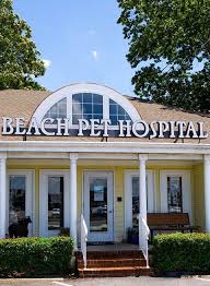 Pet hospital knows your pet can become sick or injured at any moment. Veterinarian In Virginia Beach Veterinary Hospital Beach Pet Hospital