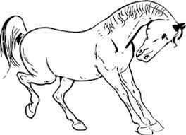 Kleurplaat paard moeilijk archidev kleurplaten moeilijk kleurplaat gefeliciteerd oma kinderen houden ervan om te kleuren. Kleurplaten Paarden True Horsemanship Gelderland