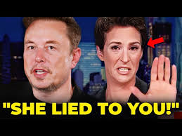 Koala Airlines Safety Briefing |Taskmaster family edition