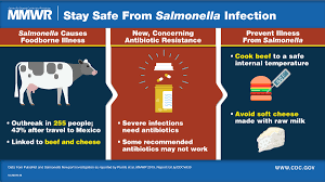Salmonella is a group of bacteria that commonly cause a foodborne illness called salmonellosis. Outbreak Of Salmonella Newport Infections With Decreased Susceptibility To Azithromycin Linked To Beef Obtained In The United States And Soft Cheese Obtained In Mexico United States 2018 2019 Mmwr