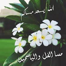 مسا الفل instagram plants design