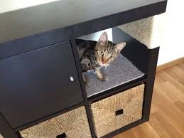 Une Bibliotheque Kallax Pour Votre Chat Meuble Pour Animal De Compagnie Hamac Chat Abri Pour Chat