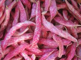 Tazemasa Com Taze Masa Tazemasa Organik Urun Kahvaltilik Meyve Sebze Zeytin Zeytinyagi Salca Tursu Sirke Bakliyat Eriste Haf Sebzeler Meyve Gida