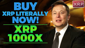 However, they say that what goes up however, if you can handle a little fud, it may be a good time to accumulate xrp at such a low however, it could also have a negative impact on xrp tokens as investors look to buy stock instead. Elon Musk Says You Need To Buy 1 000 Xrp Now You Did Not See This Ripple Xrp Youtube