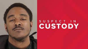 Drugs, guns, cash seized in bust at Sumter County home