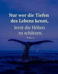 Weisheiten Des Lebens Sprüche Zitate فيسبوك
