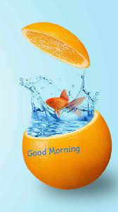 Pin By Raghu K K On Fish Good Morning Good Morning Wallpaper Good Morning Thursday Good Morning Images Hd
