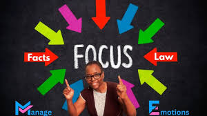 Pro Se! Focus On The Facts and...