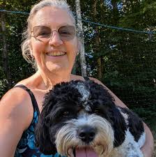 Where to find seedlings in New England for fall planting?