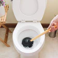 This type of toilet seat is considered to be more comfortable by many users, but often cost a bit more. 5 Reasons Why Toilets Get Clogged