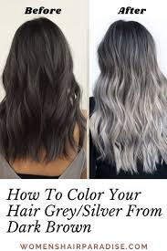 5 things to know about coloring gray hair. Looking To Transition To Gray Natural Hair Or Are You Looking To Add Grey Hair Highlights To Your Hair Check Ou Grey Hair Dye Grey Ombre Hair Grey Hair Color