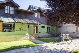 Image result for looking up at ceiling where smoke goes out of sherpa home