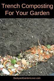 Trench Composting For Garden Success Garden Compost Compost Growing Vegetables