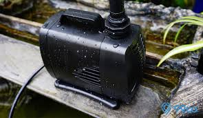 Biasa digunakan untuk pompa air di akuarium ikan. 7 Rekomendasi Harga Pompa Air Mini Termurah Tahun 2020