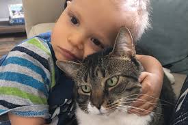 Fundraiser by Sabrina Hernandez : Nathaniel Hernandez-Our Little Warrior