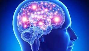 Este o boală psihică care afectează o mare parte a populației vârstnice, în vârstă de peste 65 de ani, și a cărei tratament este încă inexistent. Jocul De Bridge Antidotul Bolii Alzheimer