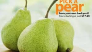 We did not find results for: Stark Bro S Nurseries And Orchards Catalog Review Finegardening
