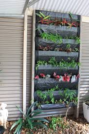 Pin By Narelle Argus On Vertical Garden Vertical Garden Vertical Garden Design Vertical Garden Diy