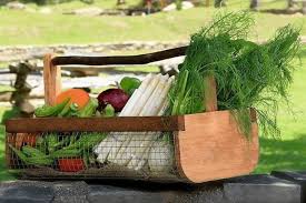 Fiskars® garden harvest basket is perfect for collecting, transporting and cleaning your harvest and food gardening tools. Creative Vegetable Gardener Best Unique Garden Gifts For Passionate Gardeners Creative Vegetable Gardener