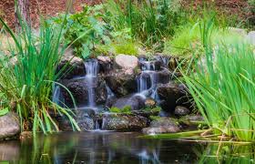 Folie war vorhanden, schaufel, spaten und ein paar bruchsteine auch. Einen Teich Mit Bachlauf Anlegen Gartenteich Ratgeber