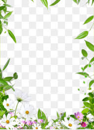 Check spelling or type a new query. Floral Spring Flowers