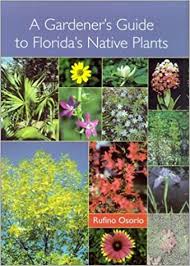 The midsummer flowers are small and white, followed by purplish berries that attract birds. A Gardener S Guide To Florida S Native Plants Osorio Rufino 0667272185288 Amazon Com Books