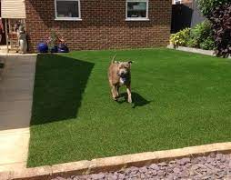 However, you should choose the right synthetic grass from the right supplier, and need to install it professionally. 5 Things To Know About Fake Grass For Pets Trulawn Artificial Grass