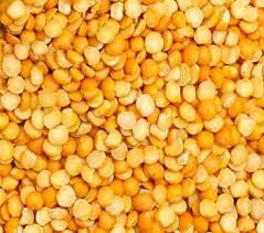 Matar Dal At Rs 49 Kilogram Matar Dal à¤¸ à¤ª à¤² à¤Ÿ à¤ª à¤®à¤Ÿà¤° à¤¦ à¤² Bhakti Agro Foods Bhiwandi Id 15018805391