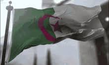The best gifs are on giphy. Confederate Flag Gifs Tenor