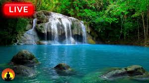 Dÿ Relaxing Meditation Music 24 7 Relaxing Music Sleep Music Mediation Music Study Music Youtube Waterfall Sounds Nature Meditation Relaxing Music