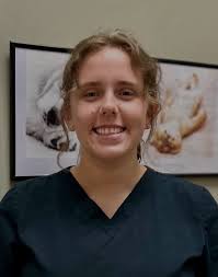 Team — Northwest Animal Hospital