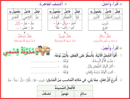 كراسة أنشطة الدعم و التقويم في اللغة العربية للمستوى الرابع ابتدائي